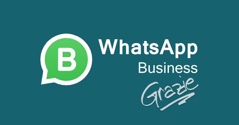 Perchè usare Whatsapp business per gestire gli ordini del tuo locale